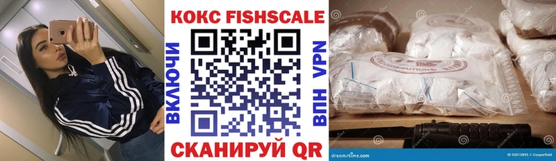 Купить закладки  Первомайск  COCAIN Колумбийский 