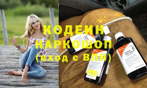 гидра Горняк