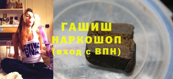 гидра Горняк
