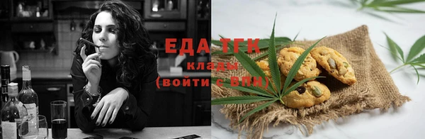 гидра Горняк