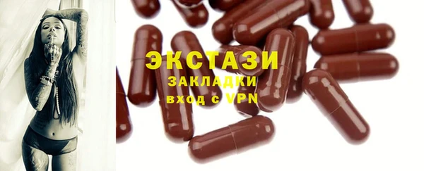 гидра Горняк