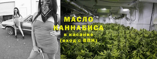 гидра Горняк