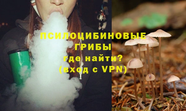 гидра Горняк
