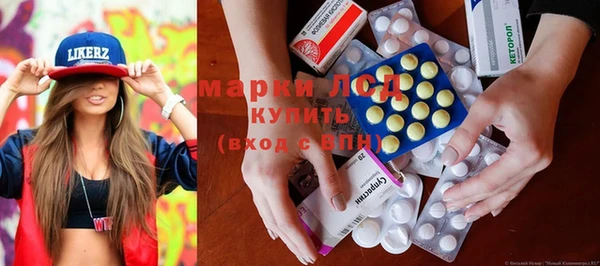 гидра Горняк