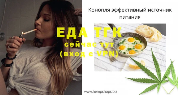гидра Горняк