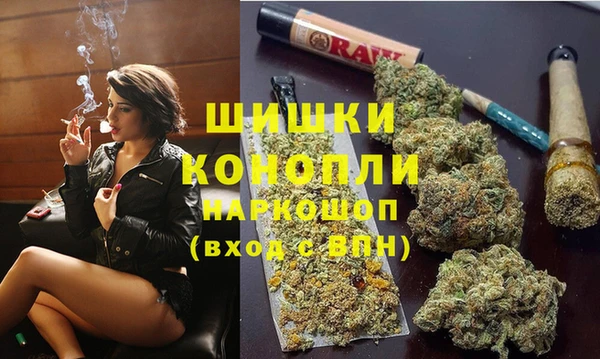МДПВ Горнозаводск