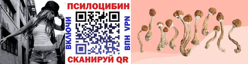 Псилоцибиновые грибы Cubensis  Купить закладки  Первомайск 