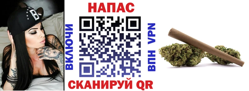 Купить где  Первомайск  Шишки марихуана сатива 